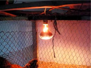 moshnost-lampa